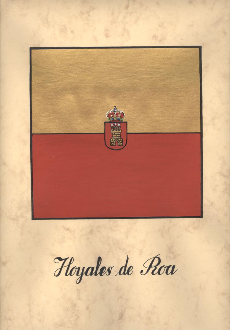 Bandera Hoyales